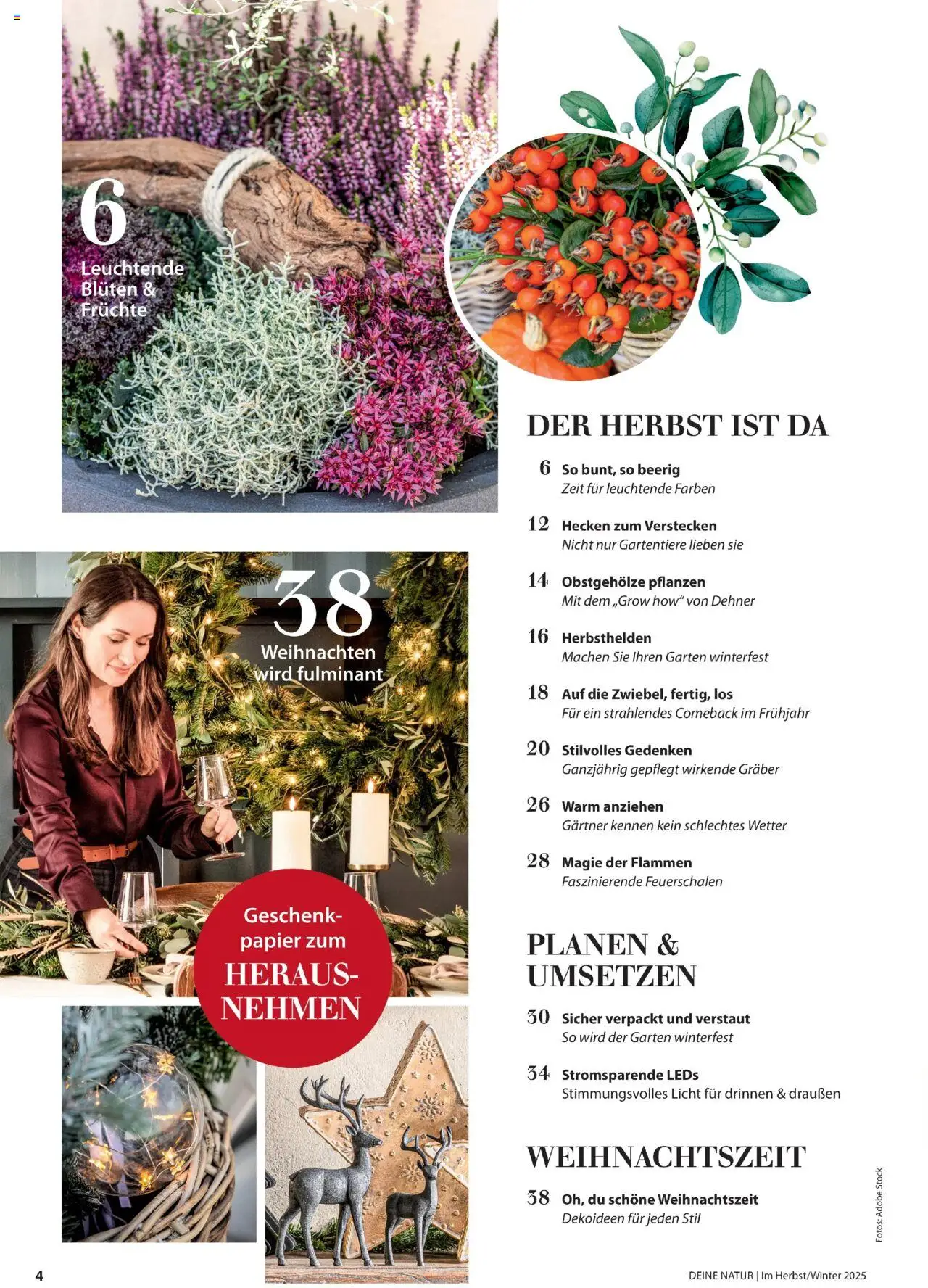 Dehner Prospekt Deine Natur - Seite 4 - gültig ab 09.10.2025