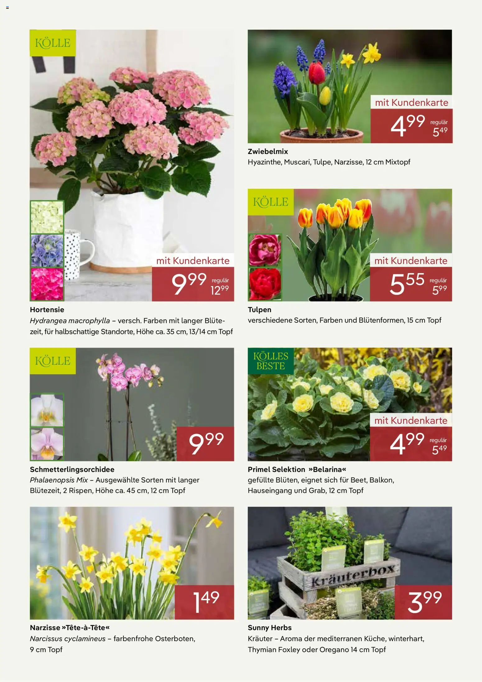 Pflanzen-Kölle Prospekt März  - Seite 3 - gültig ab 02.03.2026