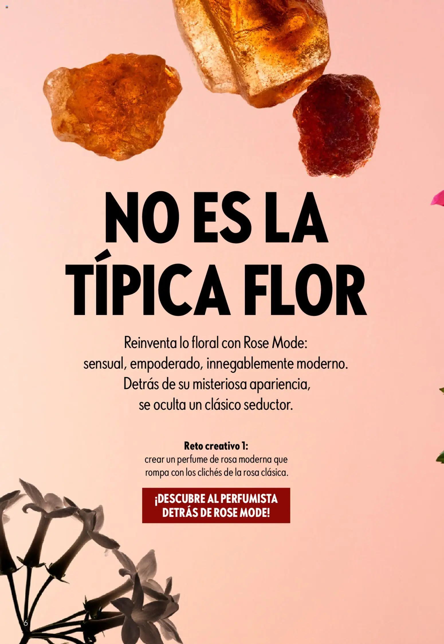 Oriflame - Catálogo Campaña 6 - Página de 6 - Válido desde 22/04/2026