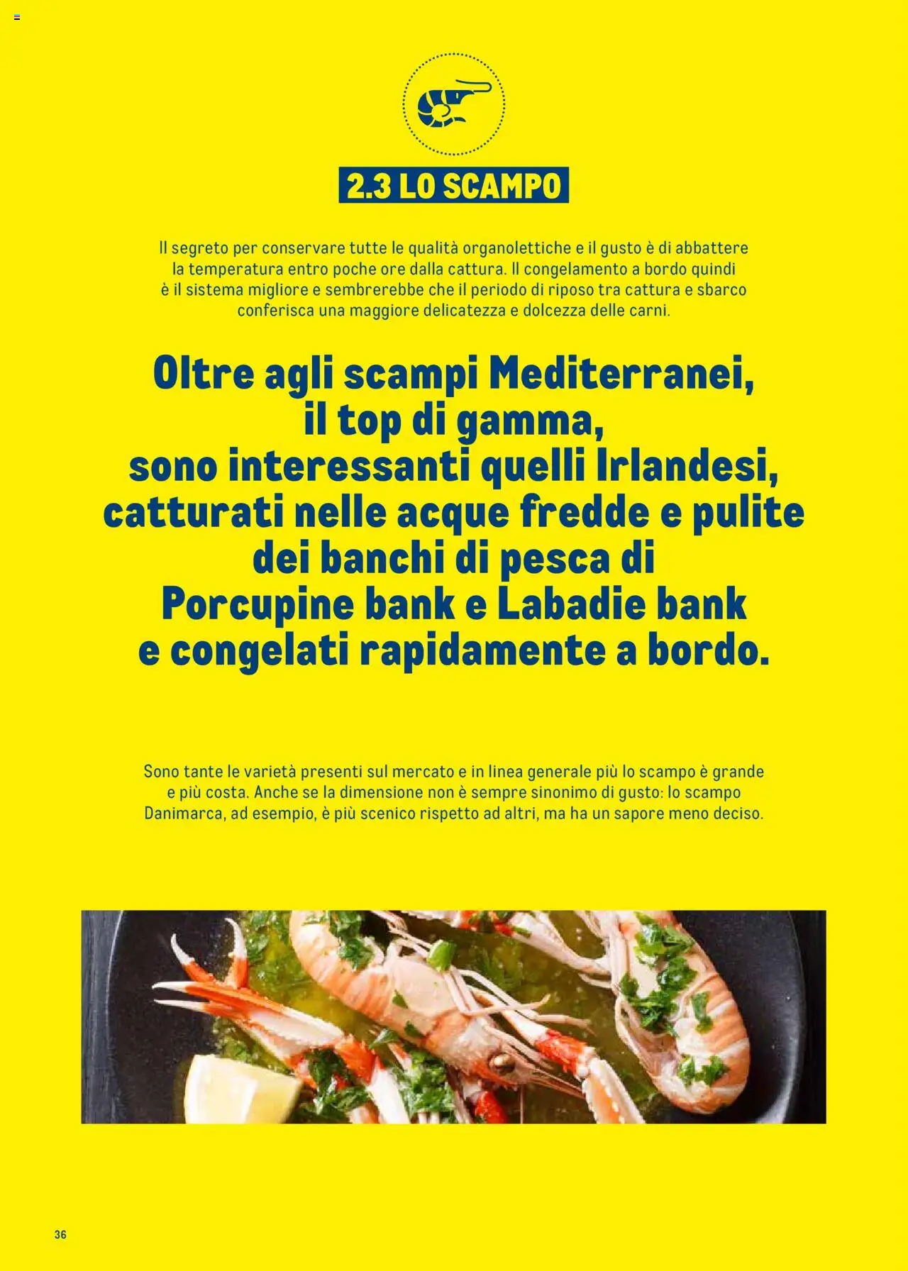 Metro Surgelati 2025 catalogo - pagina 36 - valido dal 30/06/2025