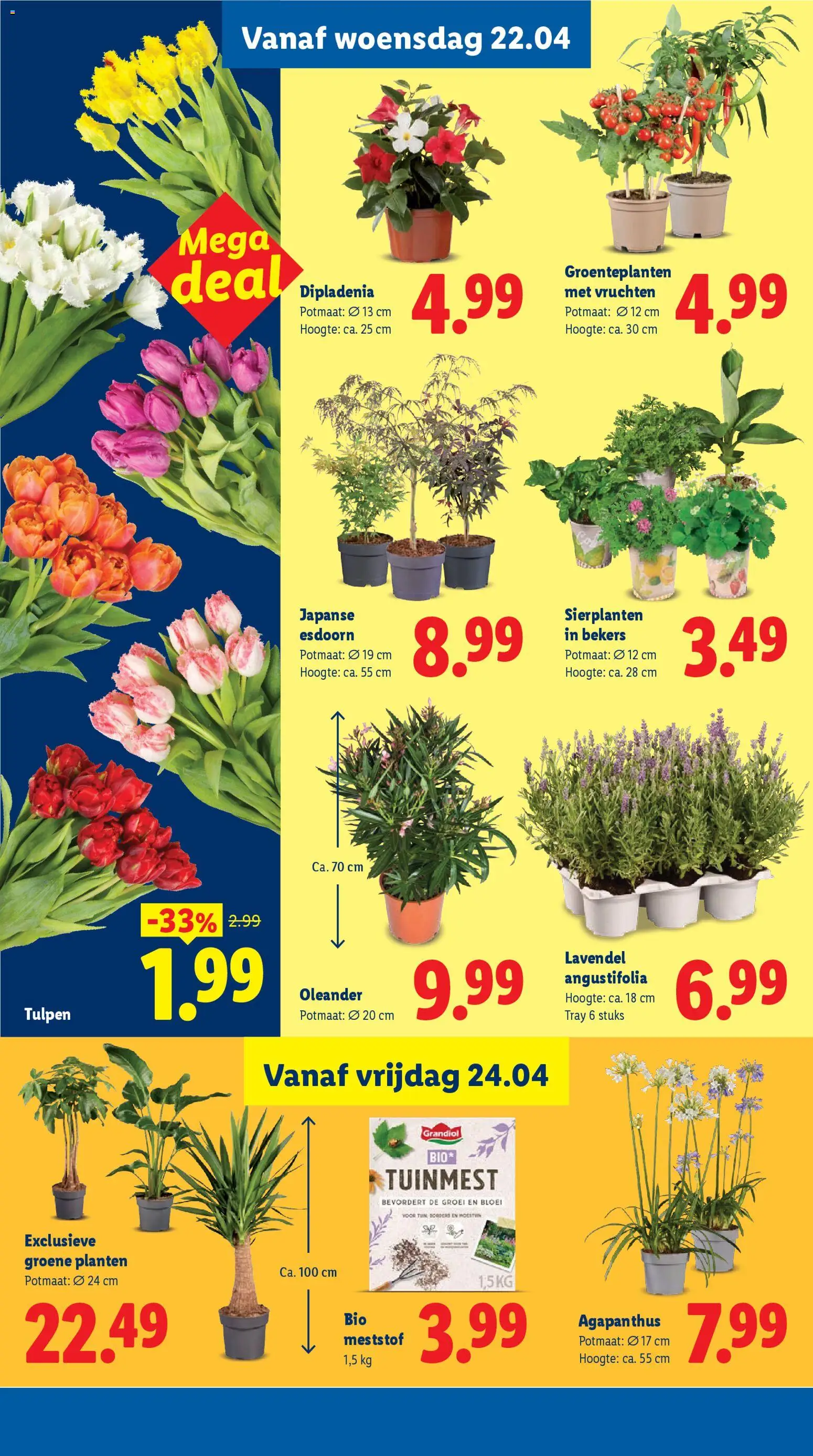 Lidl folder week 17 - page 23- valid from 20-04-2026