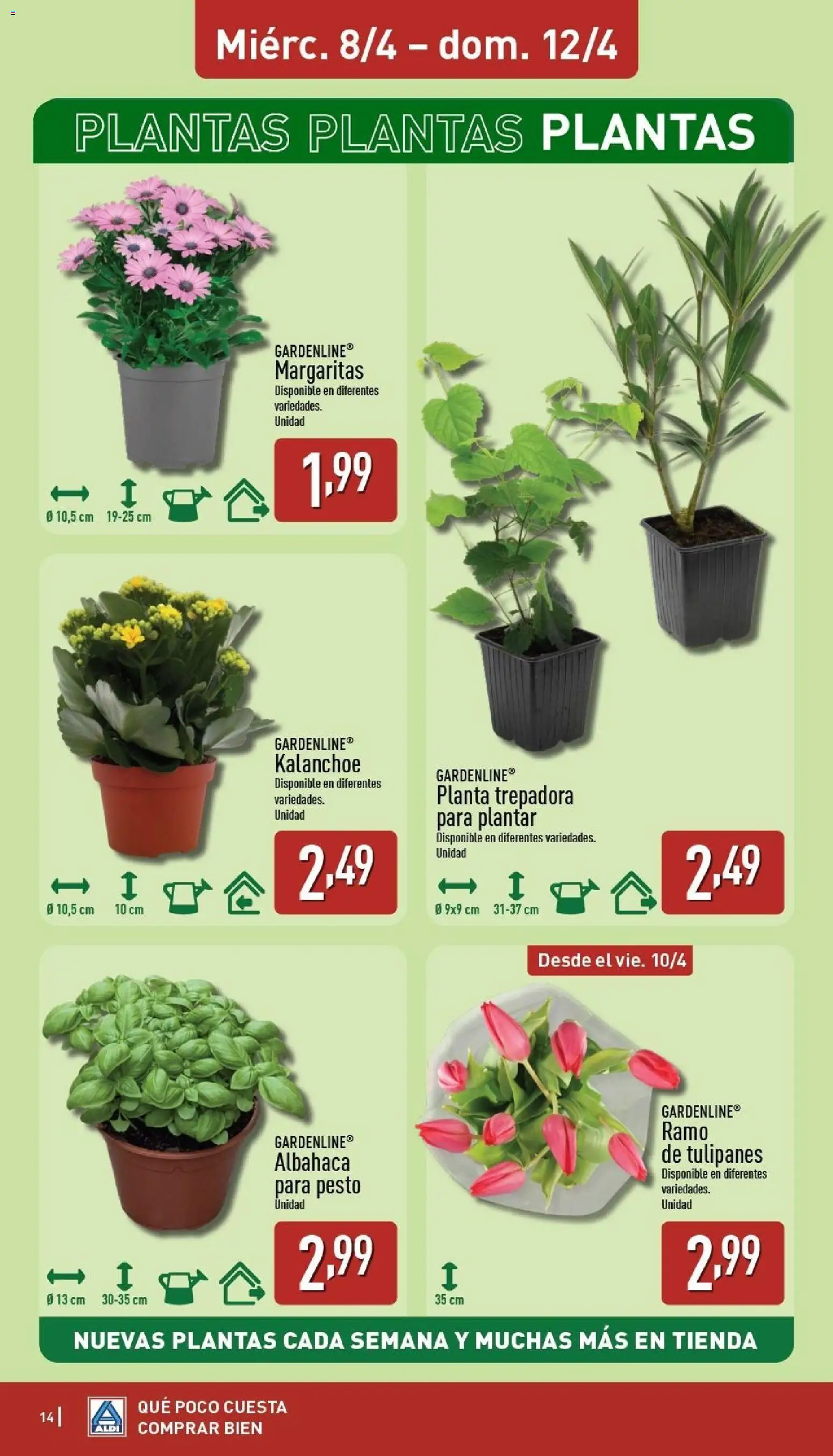 Aldi folleto Península - Página de 14 - Válido desde 06/04/2026