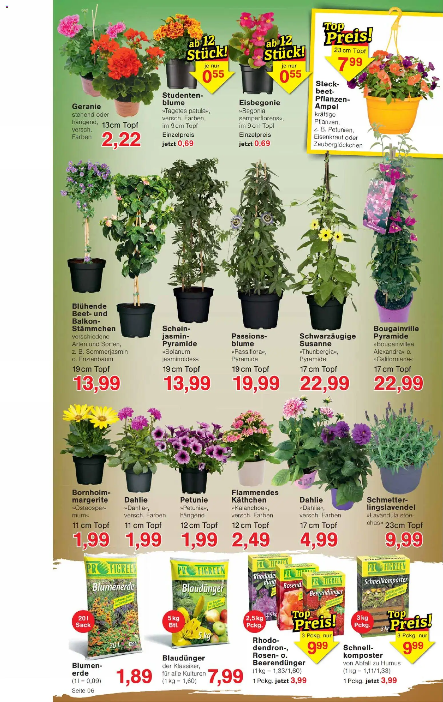 Wiglo Wunderland Prospekt 	 - Seite 6 - gültig ab 20.04.2026