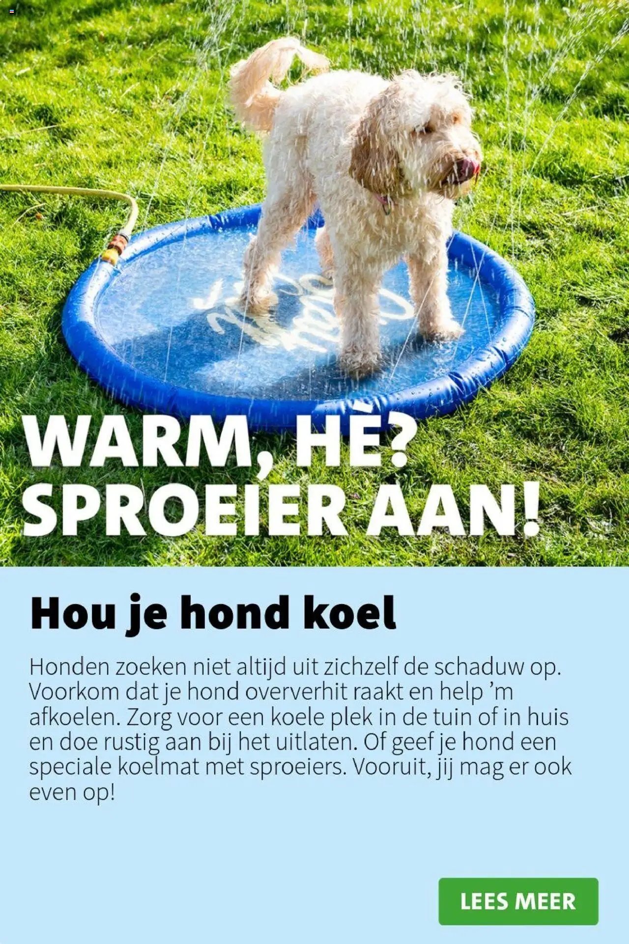 Intratuin - Folder - pagina 4- geldig vanaf 21-07-2025