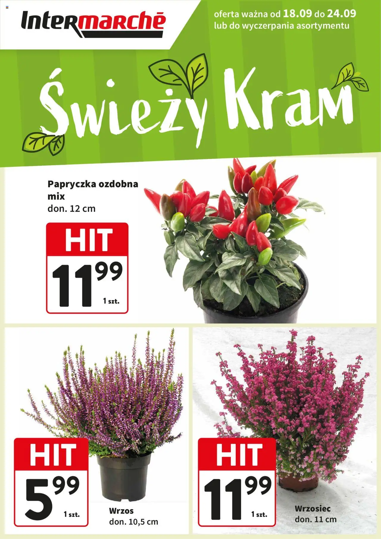 Intermarche Gazetka - Świeży Hit - strona 1- ważny od 18.09.2025