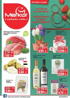 Merkur Catalog valabil de la 05.03.2026