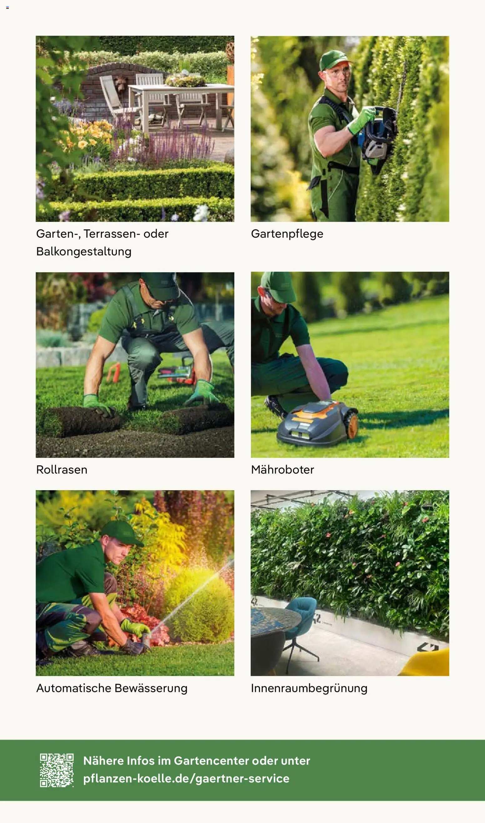 Pflanzen-Kölle Prospekt 	 - Seite 11 - gültig ab 01.12.2025