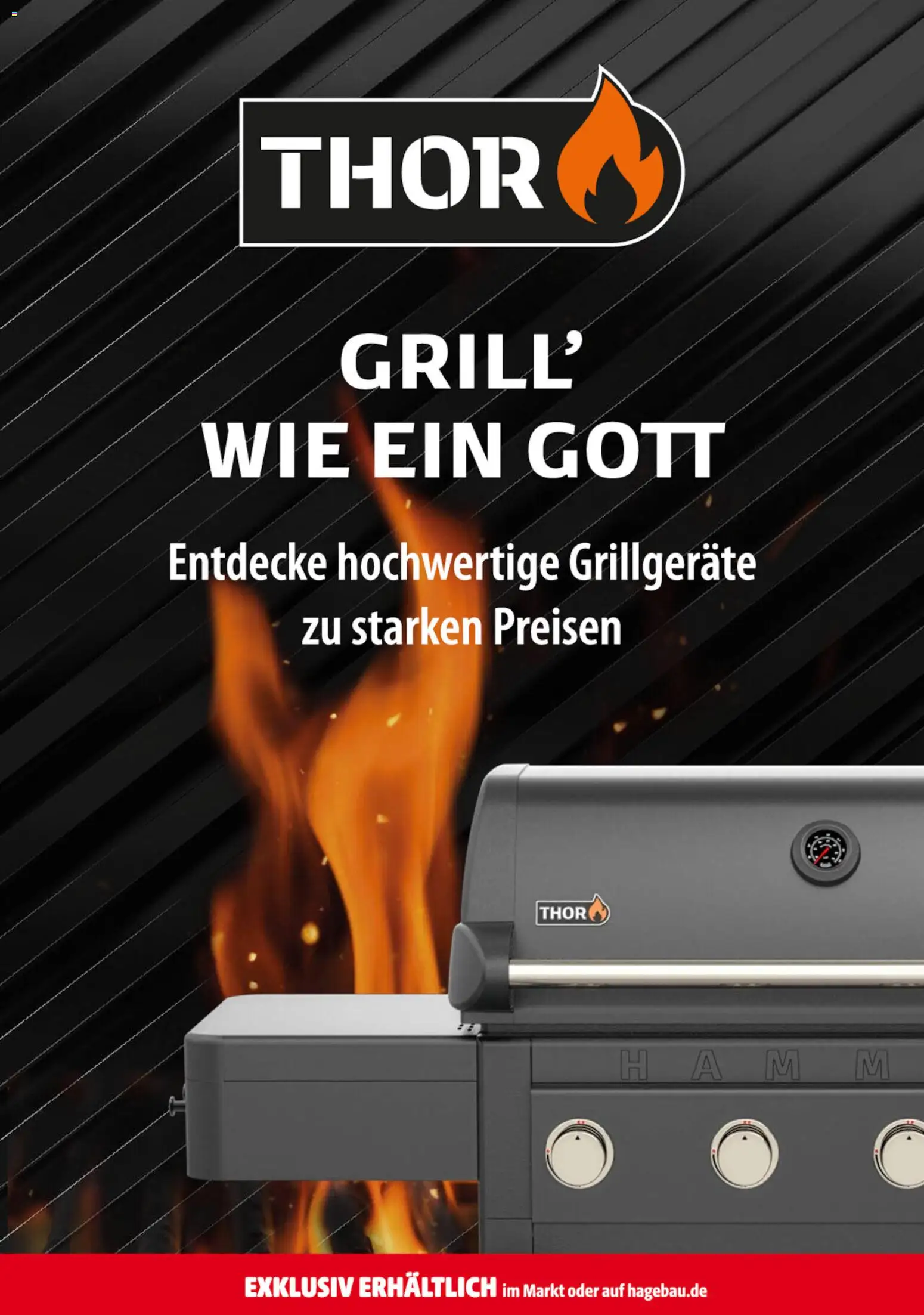 Hagebau Prospekt 	 - Seite 17 - gültig ab 11.04.2026