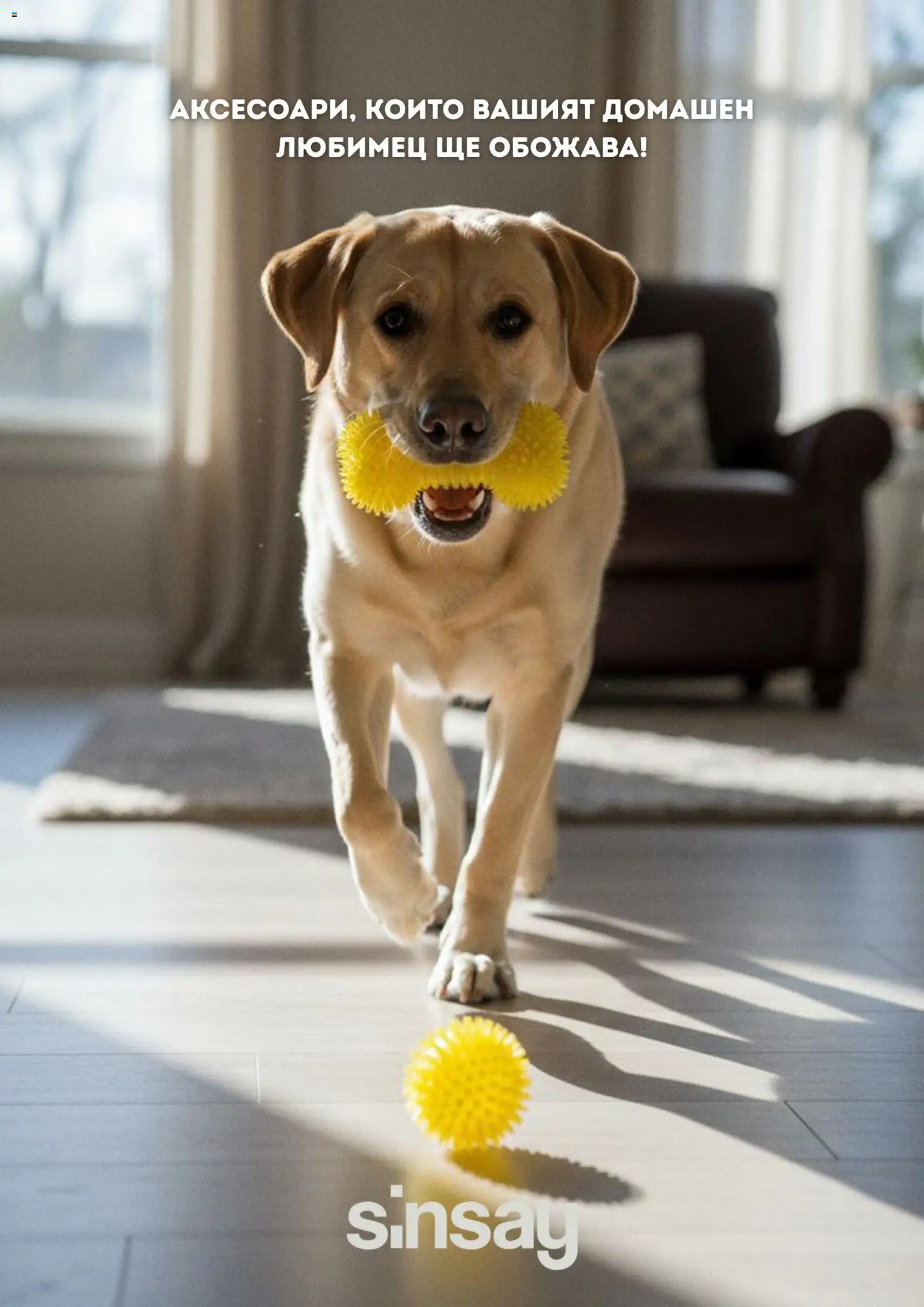 Sinsay брошура - страница 1- валиден от 17.04.2026
