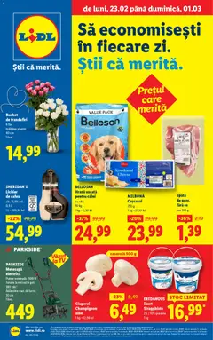 Catalog Lidl valabil de la 23.02.2026
