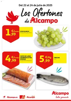 Vista previa del folleto Alcampo - Los ofertones de Alcampo válido desde 22/07/2025