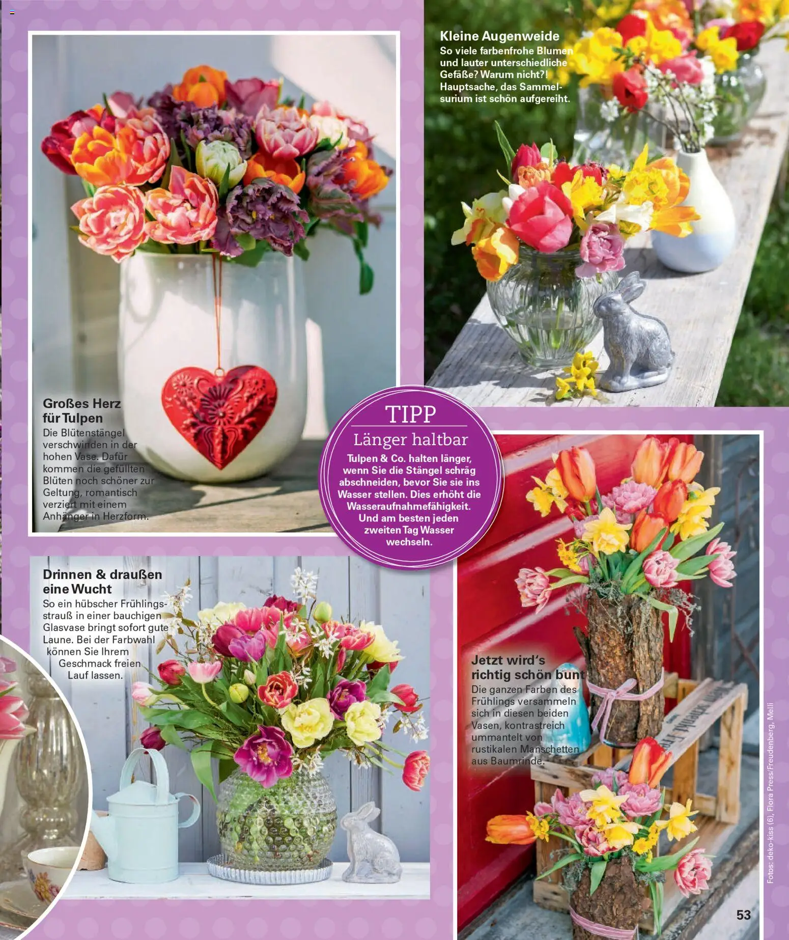 Poco Prospekt Wohnwelt Frühling 2026 - Seite 53 - gültig ab 16.02.2026