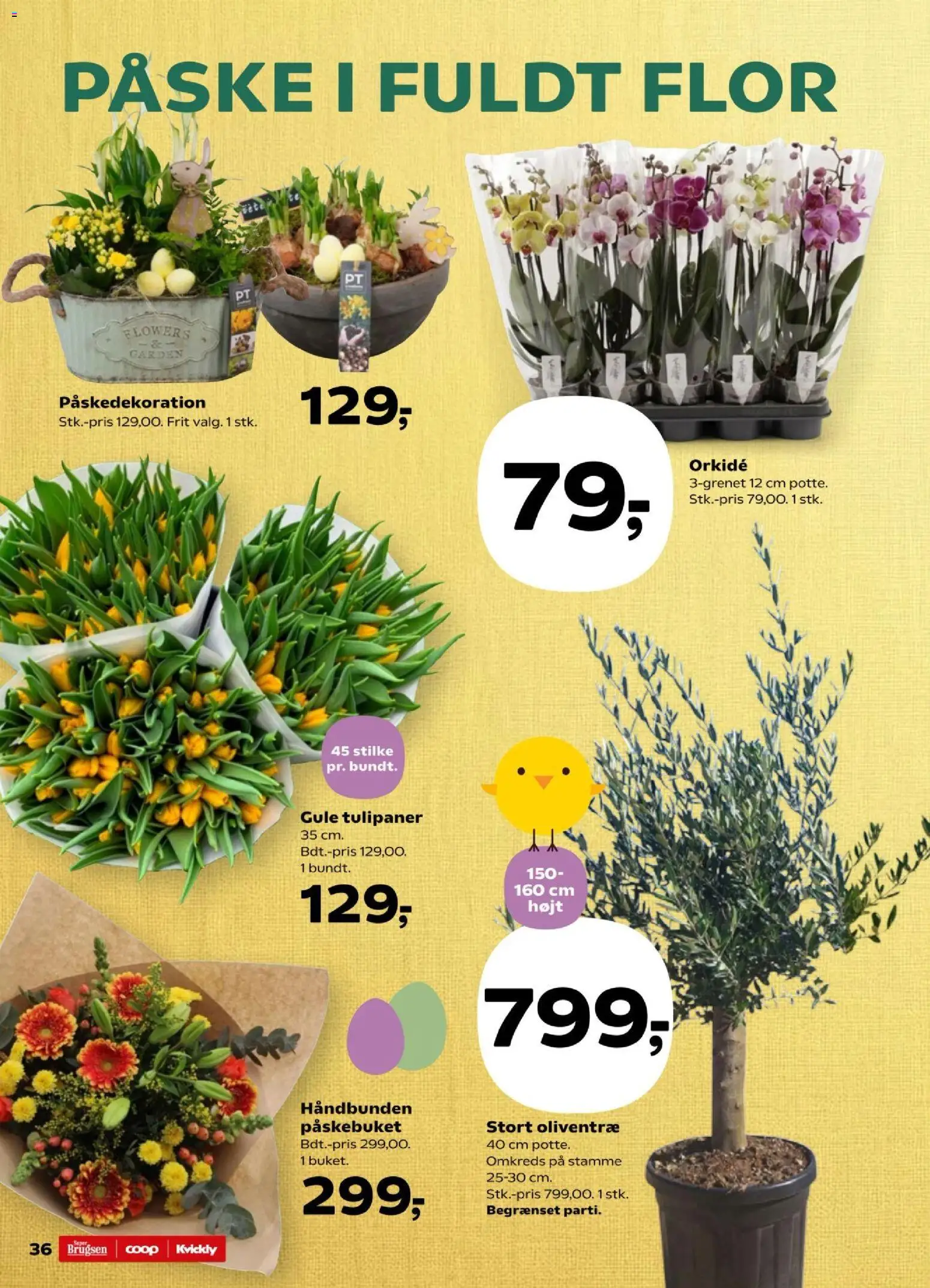 Super Brugsen - Tilbudsavis uge 13 - page 37- valid from 27/03/2026