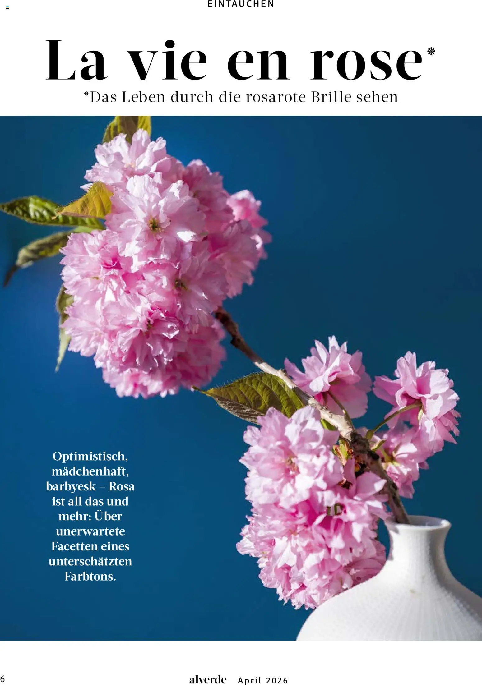 dm drogerie Prospekt 	 - Seite 6 - gültig ab 01.04.2026