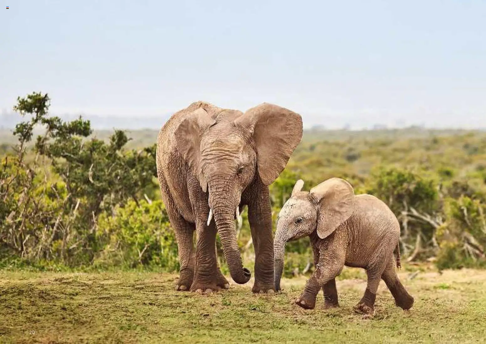 Aida Fernreisen Winter - Seite 20 - gültig ab 01.10.2025