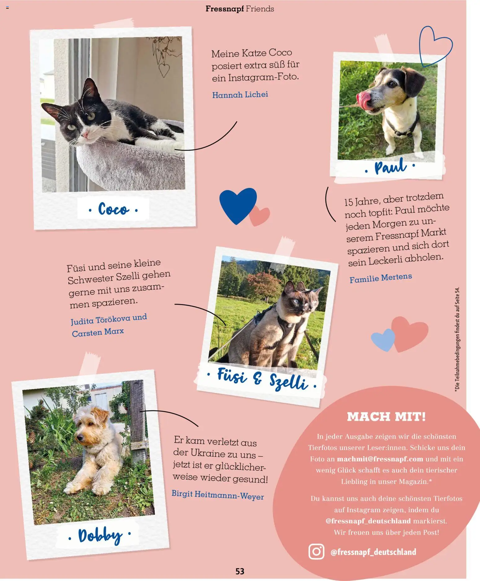 Fressnapf Friends Magazin - Seite 53 - gültig ab 02.03.2026