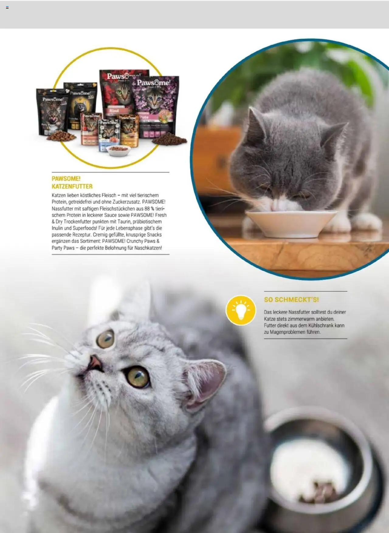 zookauf Themenkatalog Katze - Seite 15 - gültig ab 01.10.2025