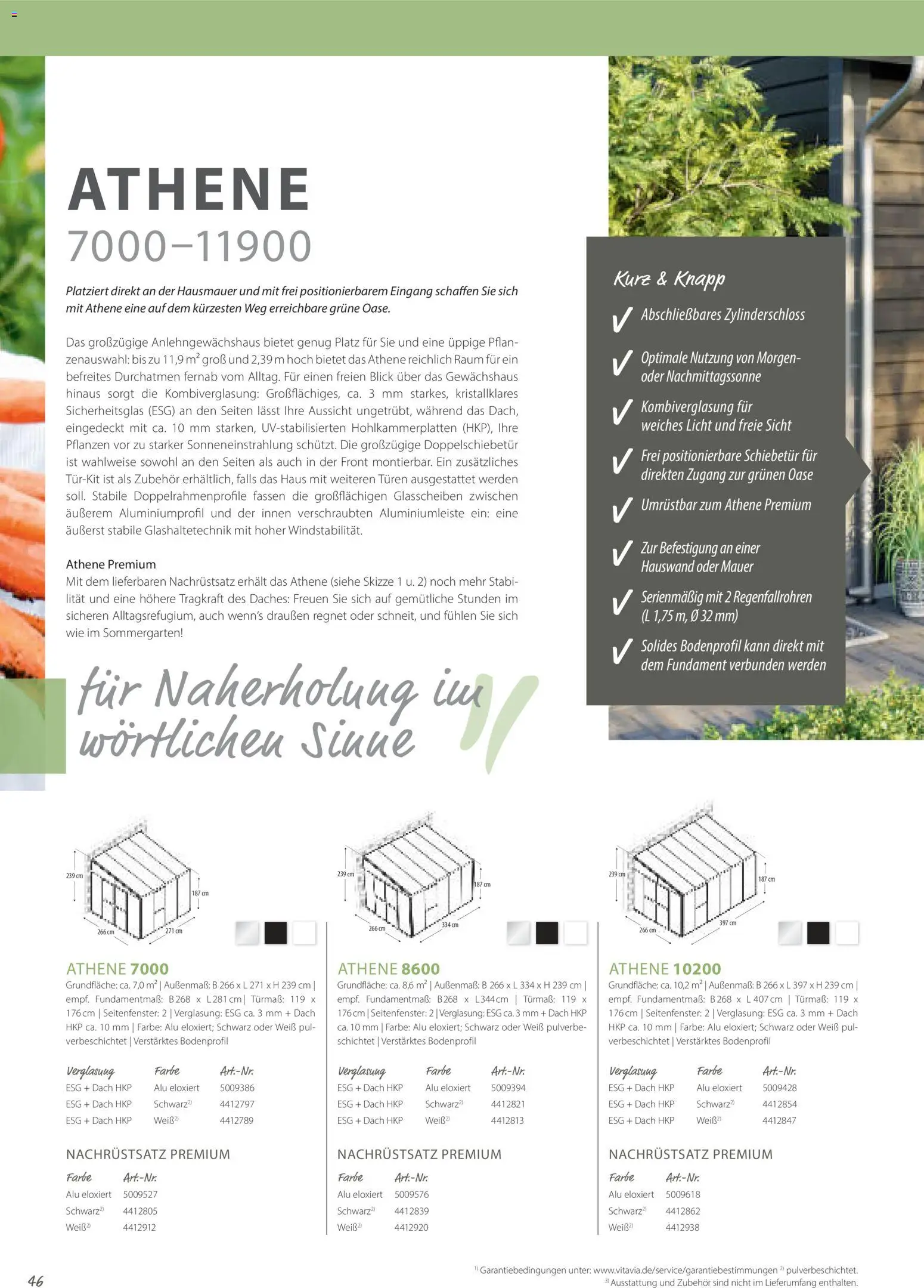 Dehner EPH – Gärtnern & Leben - Seite 46 - gültig ab 01.01.2026