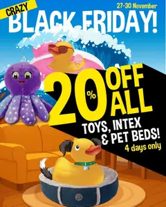 Preview Crazy Store Black Friday Notice valid from 25/11/2025