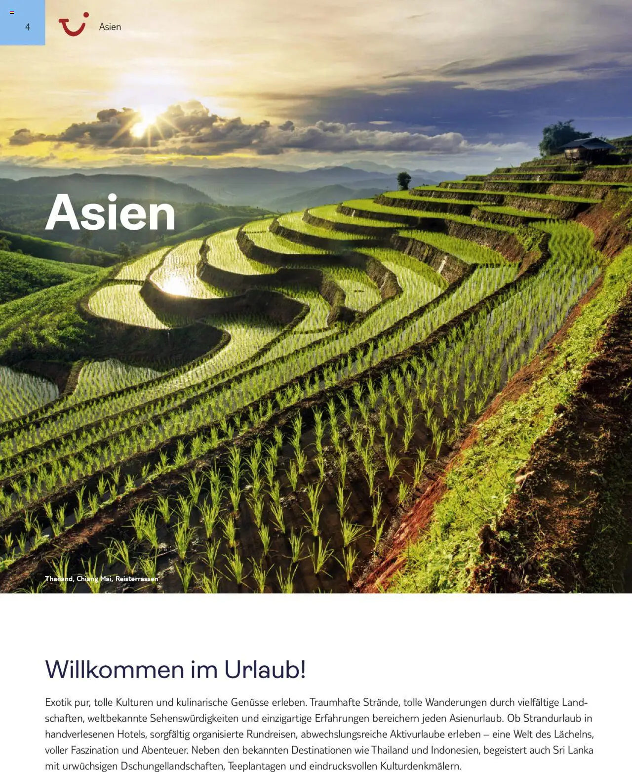 Aida - Asien, Afrika, Orient & Indischer Ozean 2025/26 - Seite 4 - gültig ab 01.11.2025