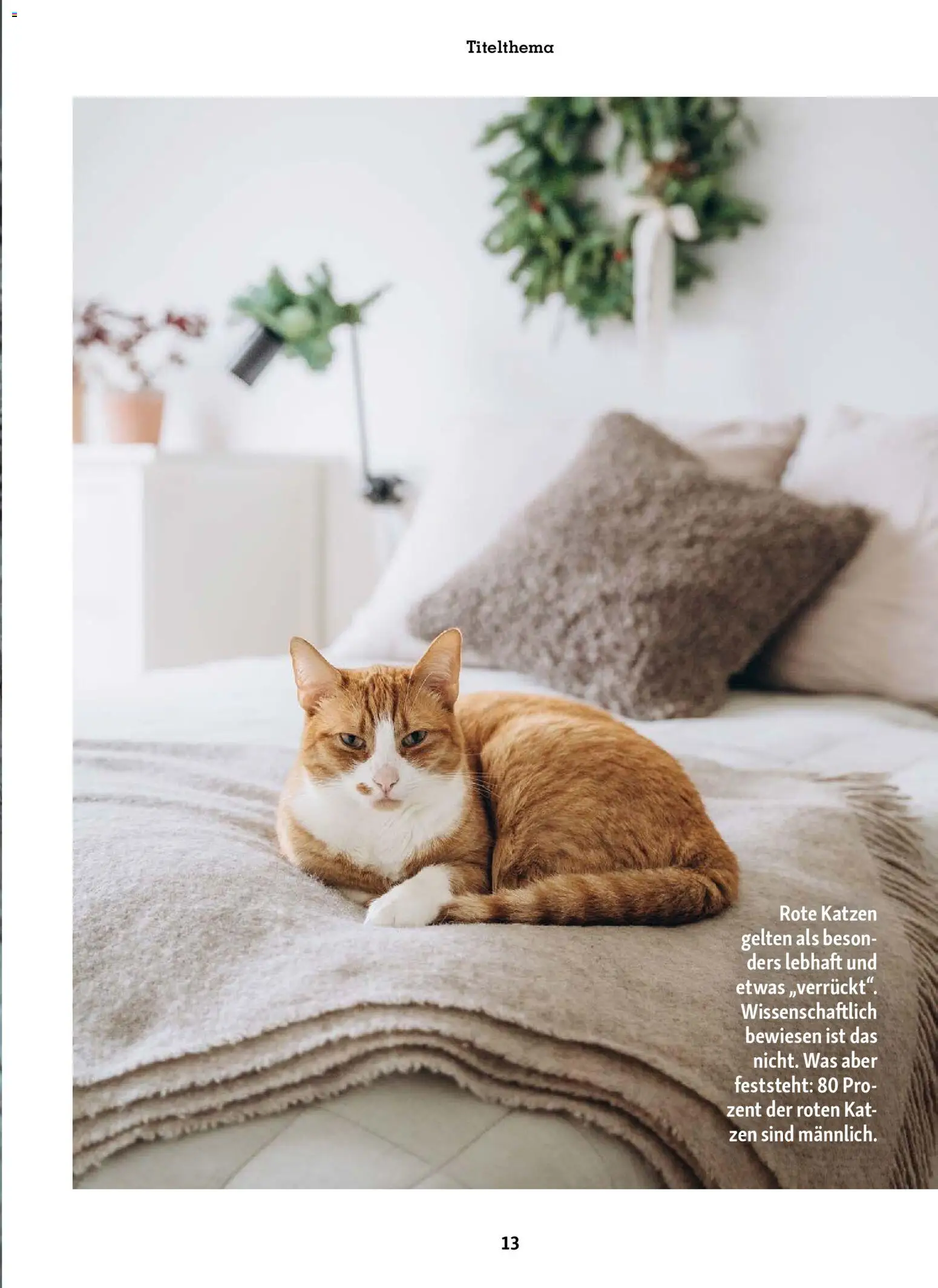 Fressnapf Friends Magazin - Seite 13 - gültig ab 01.11.2025