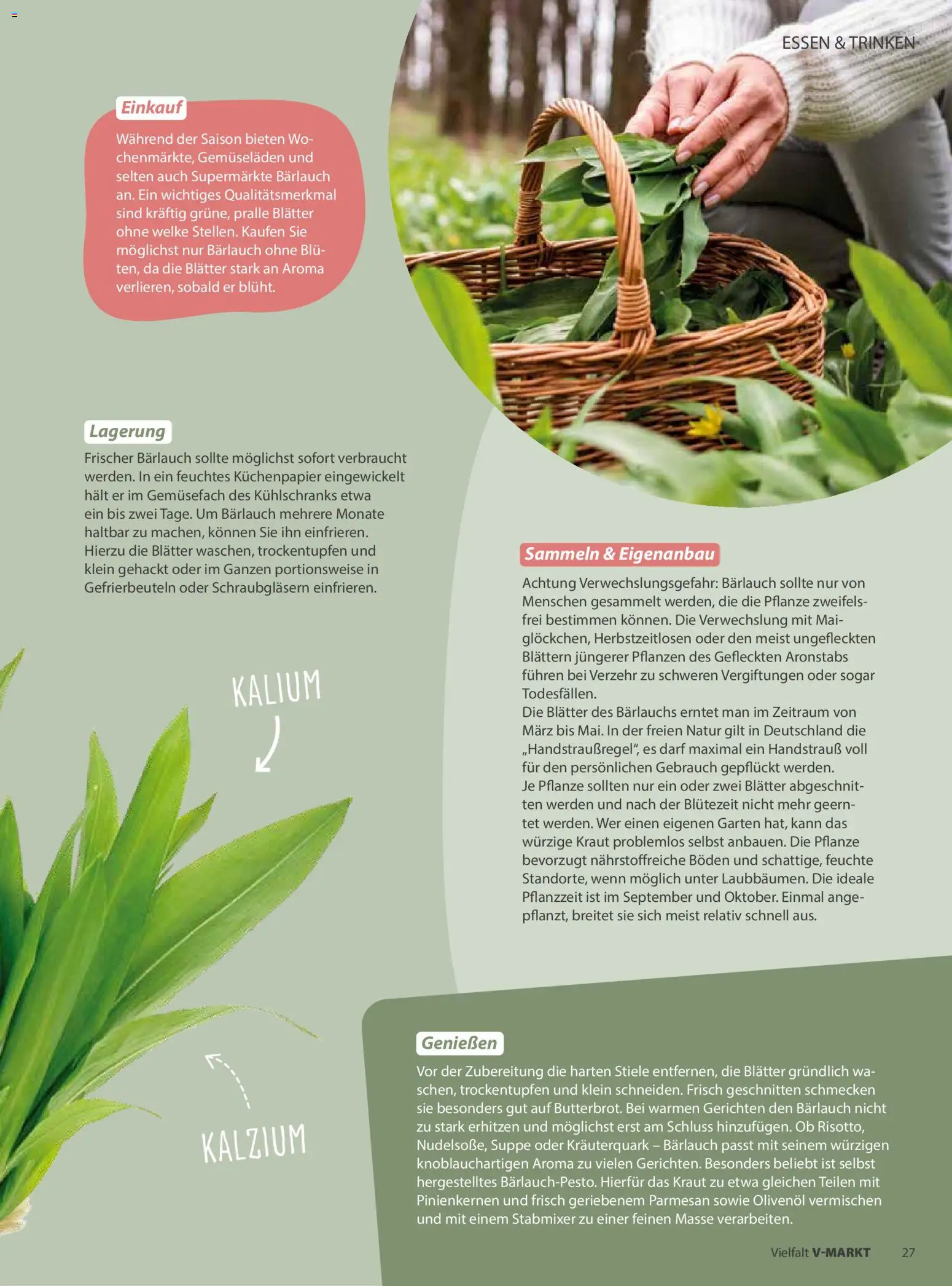 V-Markt Vielfalt März / April - Seite 27 - gültig ab 01.03.2026