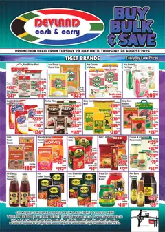 Preview Devland Monthly Specials valid from 29/07/2025