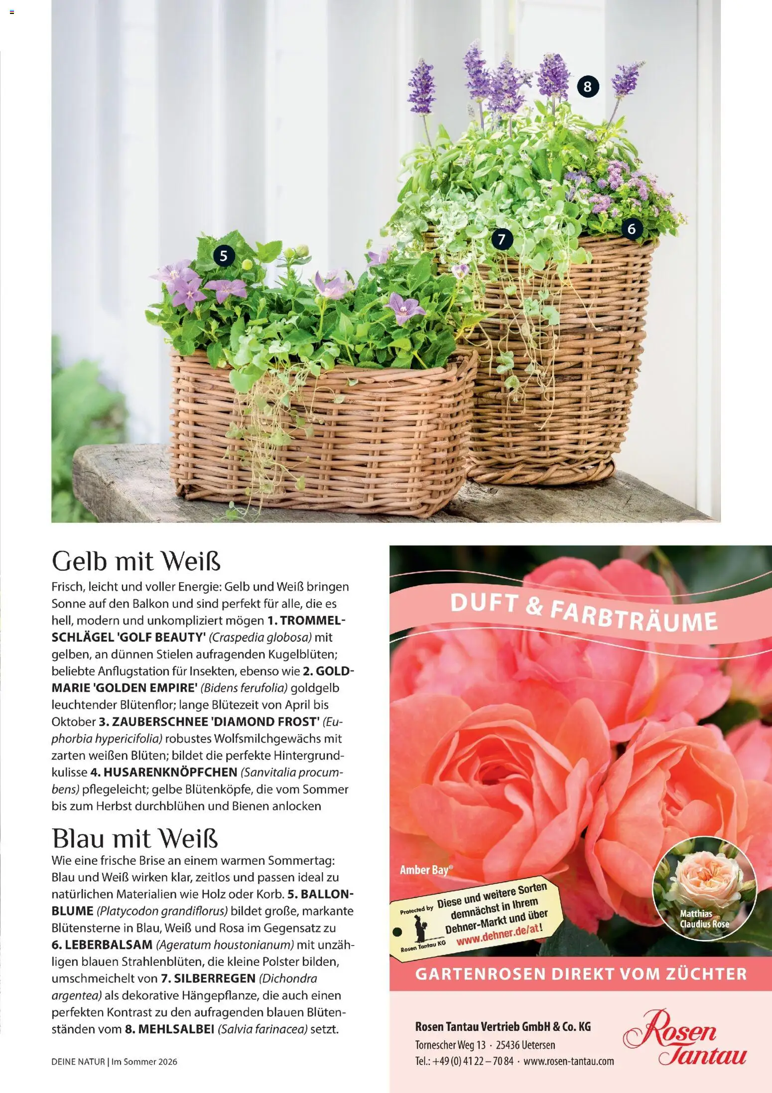 Dehner Prospekt 	 - Seite 23 - gültig ab 17.04.2026