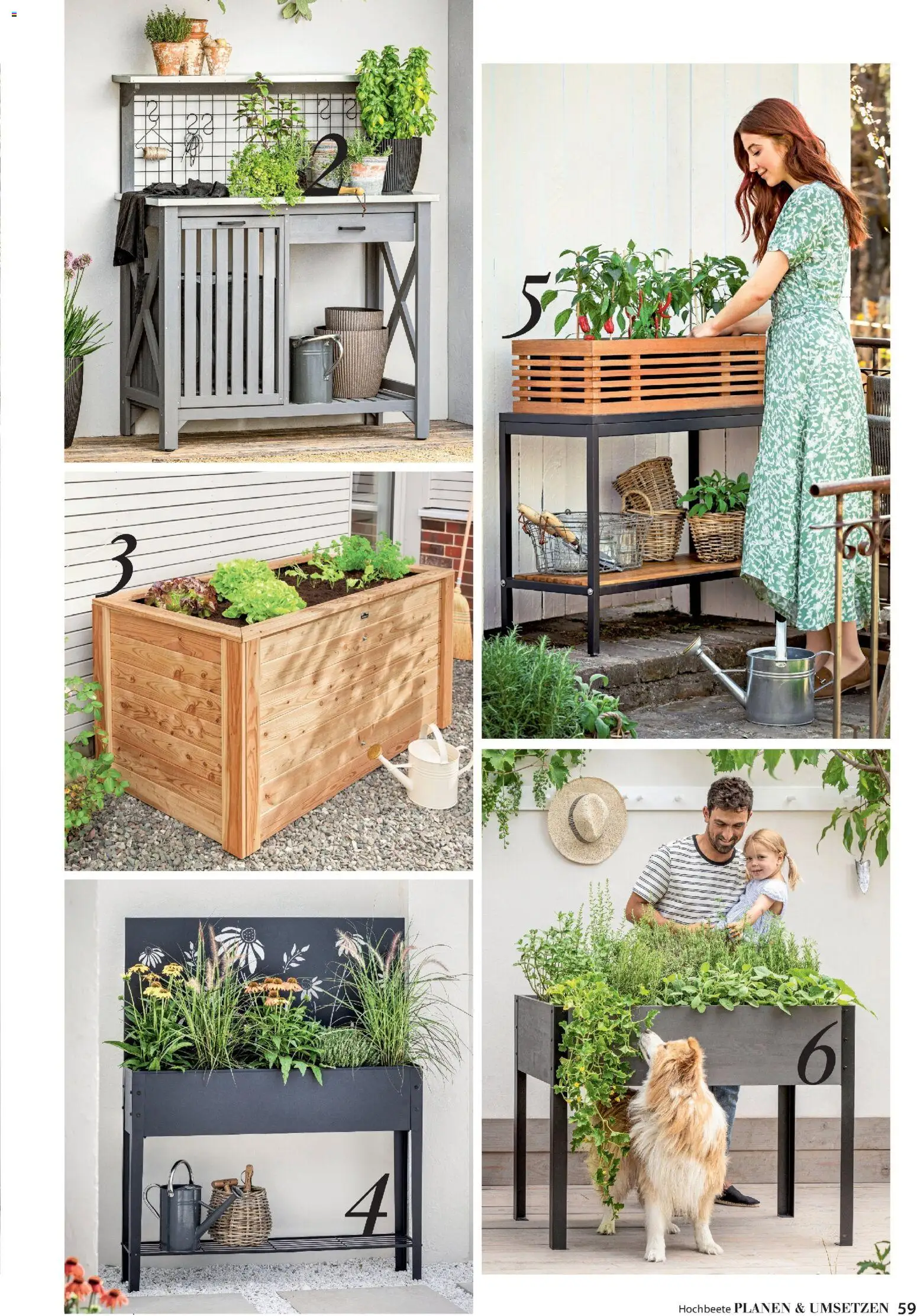 Dehner Prospekt 	 - Seite 59 - gültig ab 17.04.2026