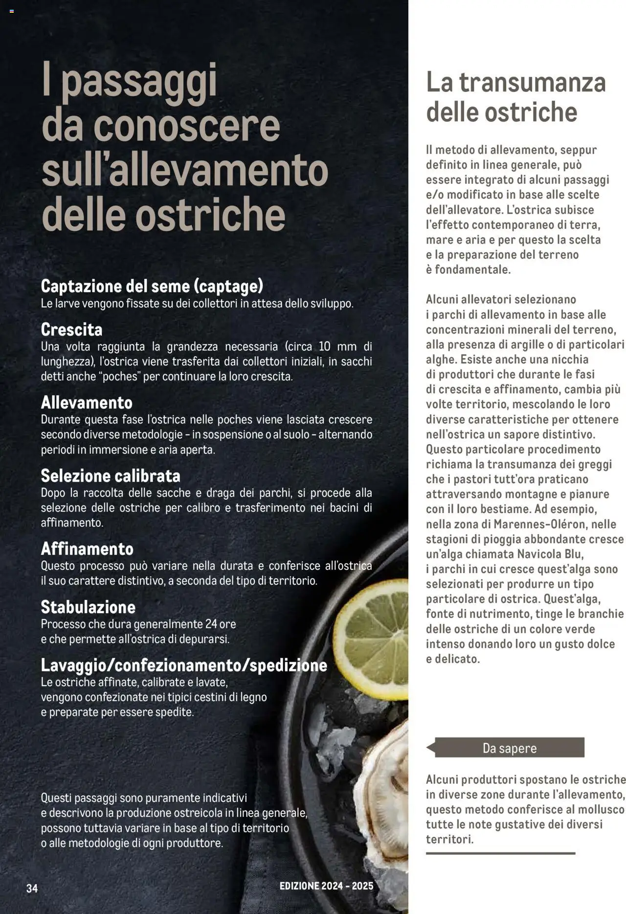 Catalogo Frutti di mare Metro	 - pagina 34 - valido dal 11/07/2024