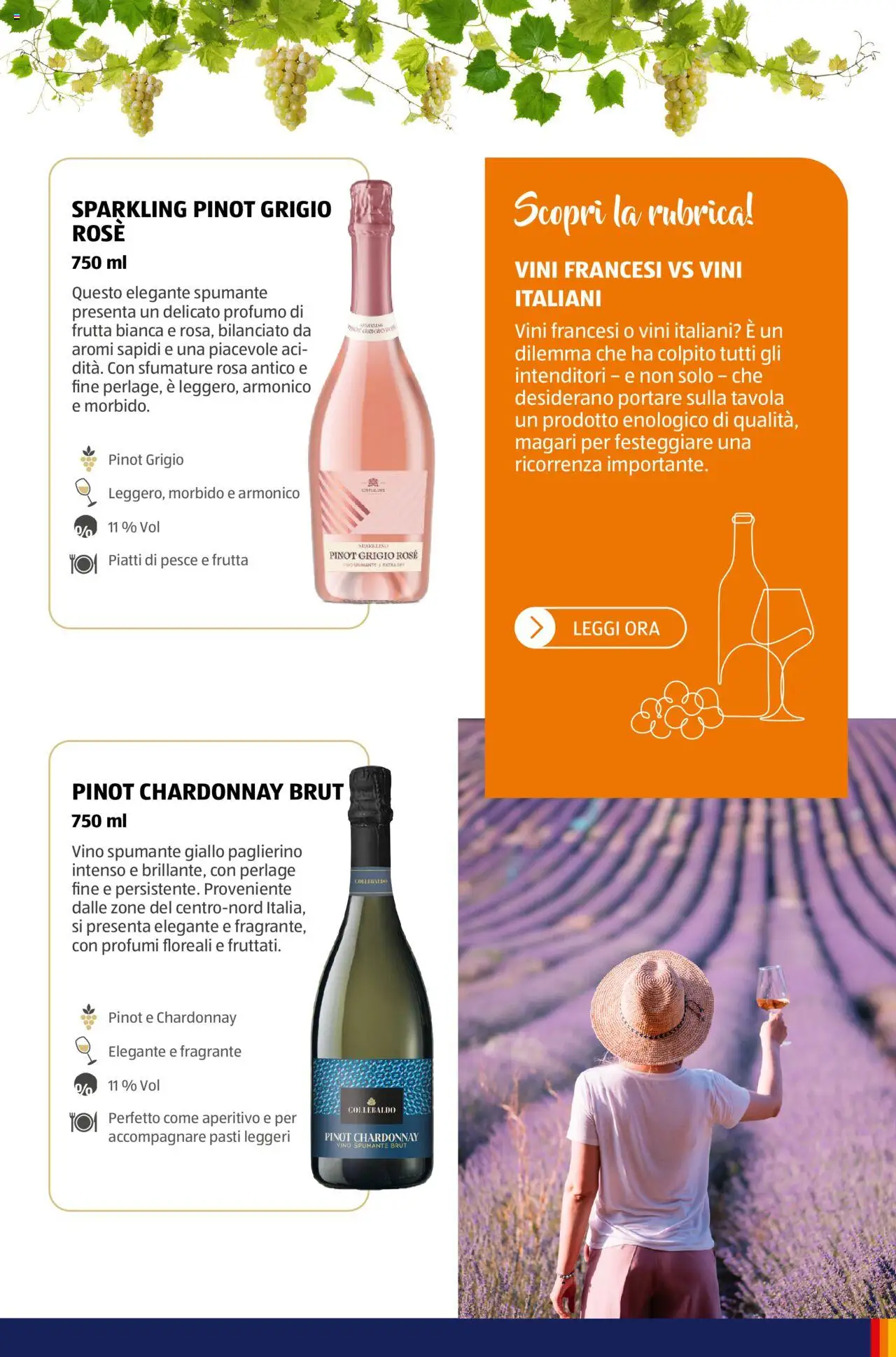Brochure Vinoteca Aldi	 - pagina 50 - valido dal 05/11/2024