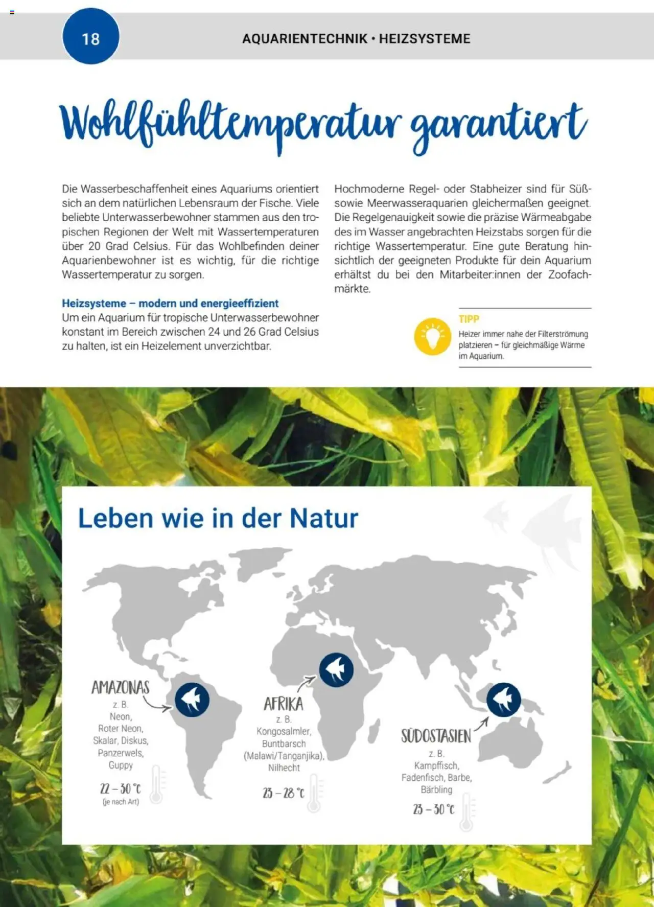 zookauf Themenkatalog Aquaristik - Seite 18 - gültig ab 01.10.2025