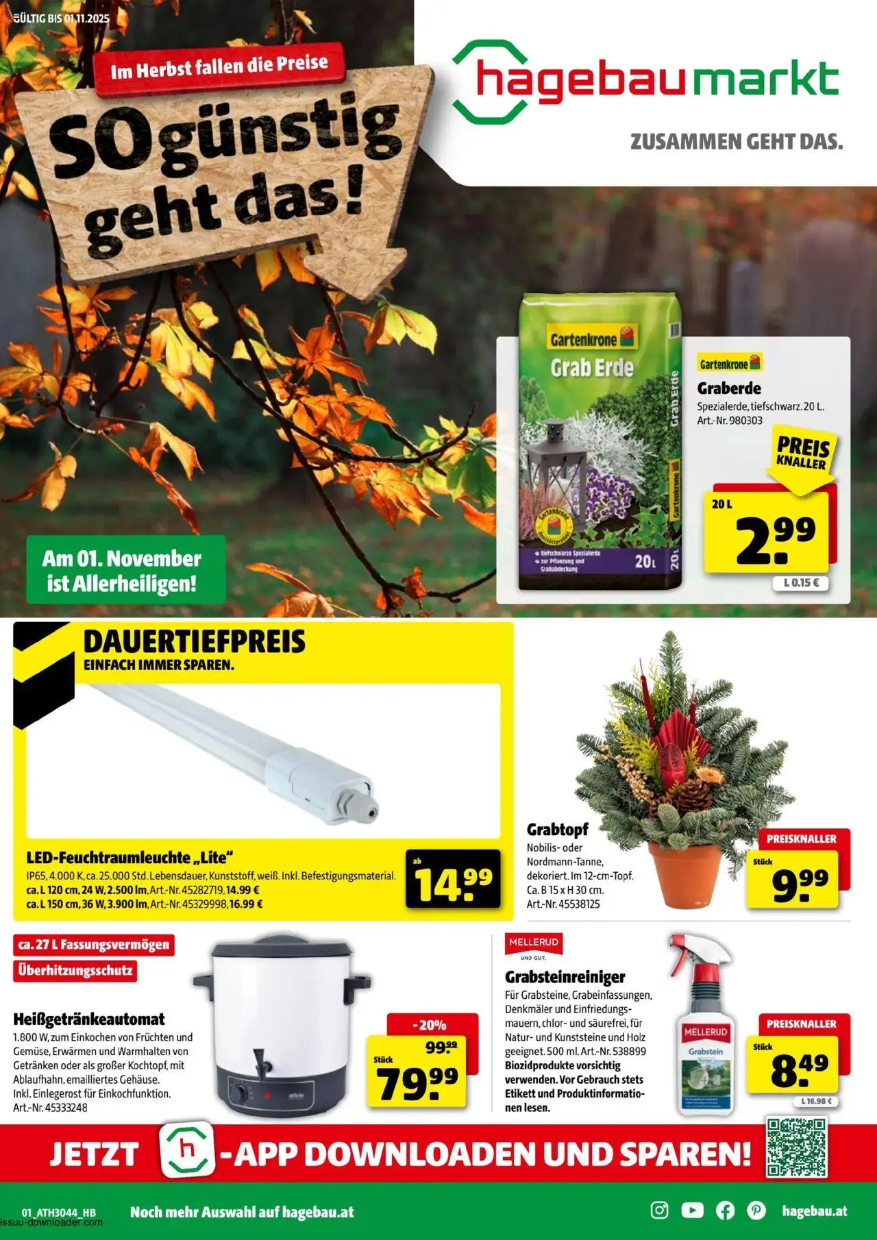 Hagebau Flugblatt - Seite 1- gültig ab 21.10.2025