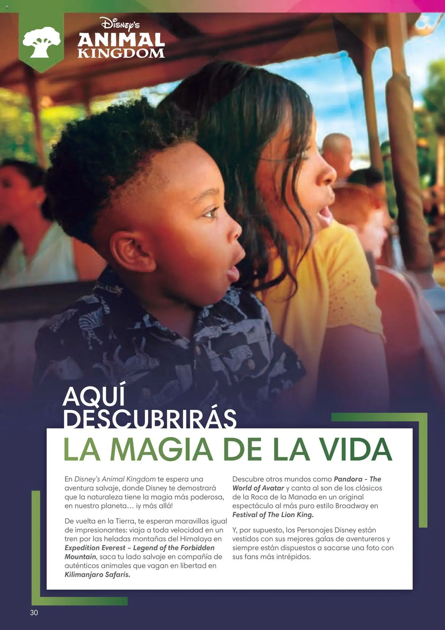 Viajes El Corte Inglés Folleto Walt Disney World - Página de 30 - Válido desde 03/12/2025