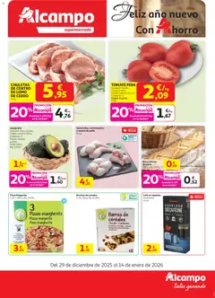 Vista previa del folleto Alcampo - Maxi válido desde 29/12/2025