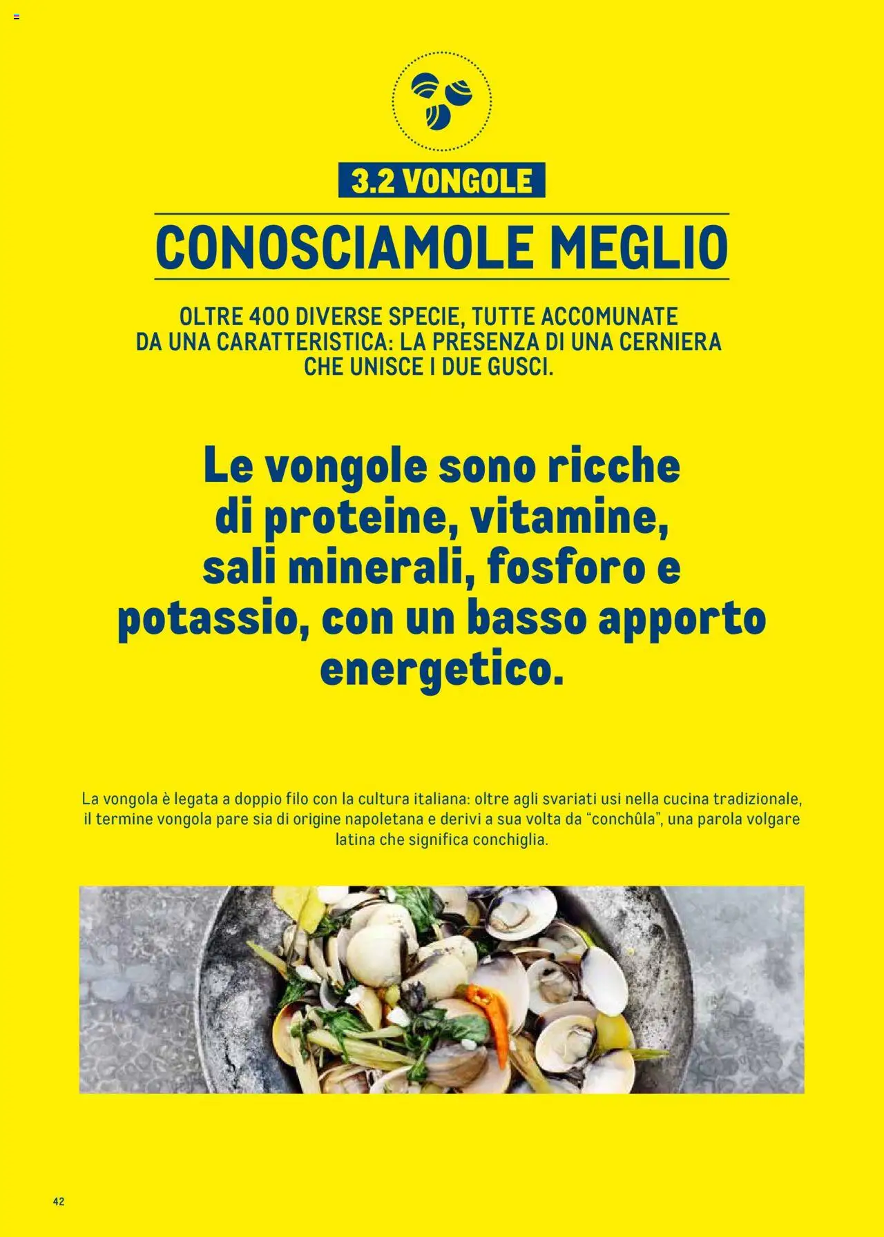 Metro Surgelati 2025 catalogo - pagina 42 - valido dal 30/06/2025