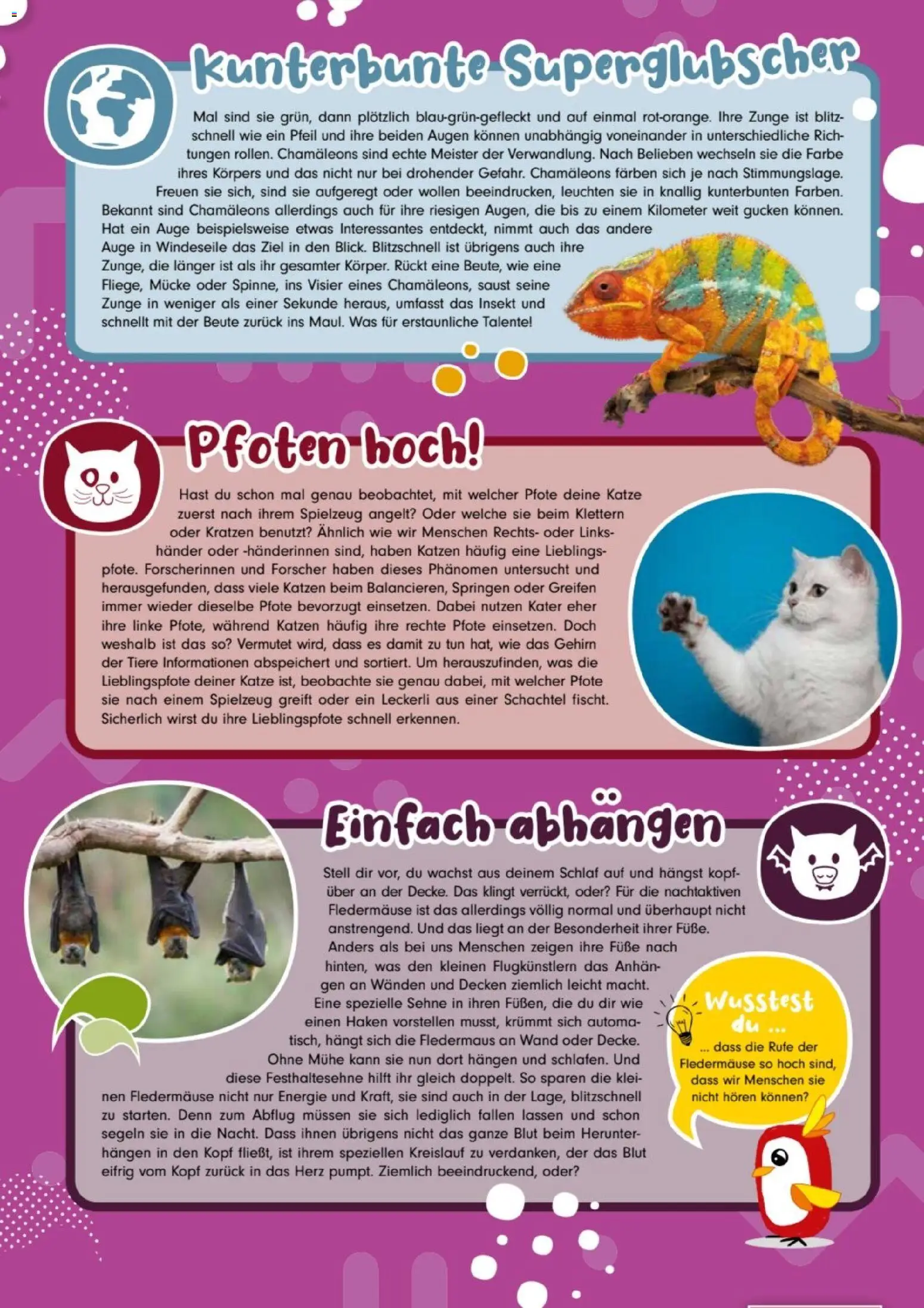 zookauf Kids - Seite 2 - gültig ab 01.04.2026