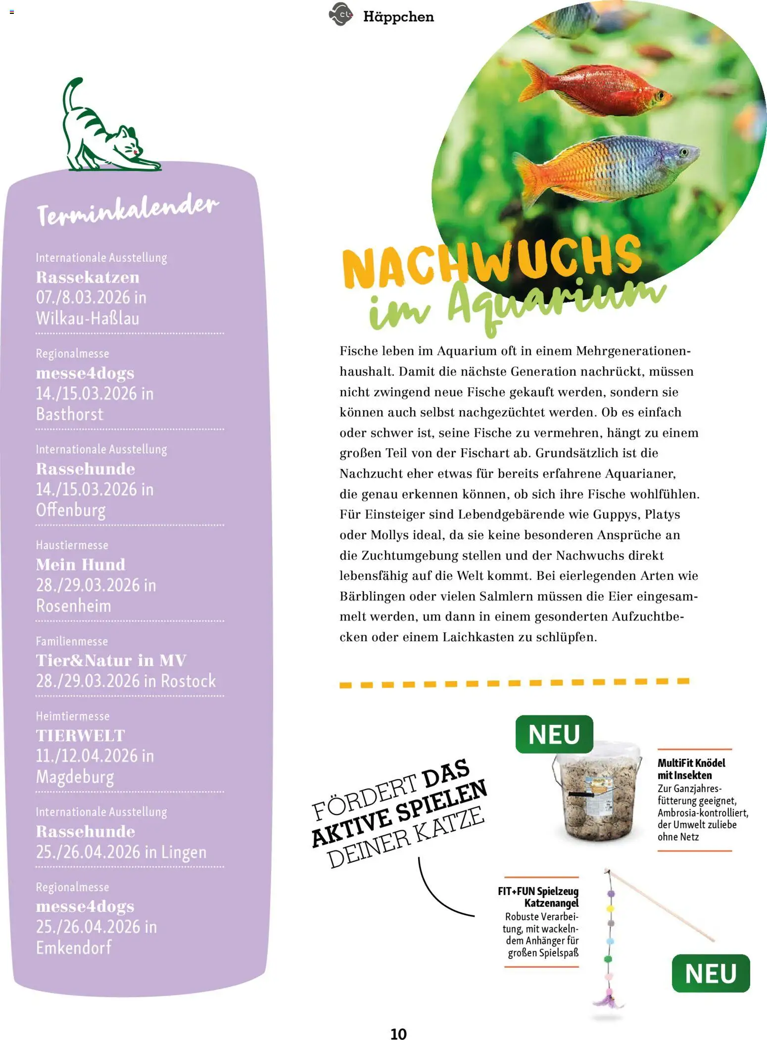 Fressnapf Friends Magazin - Seite 10 - gültig ab 02.03.2026
