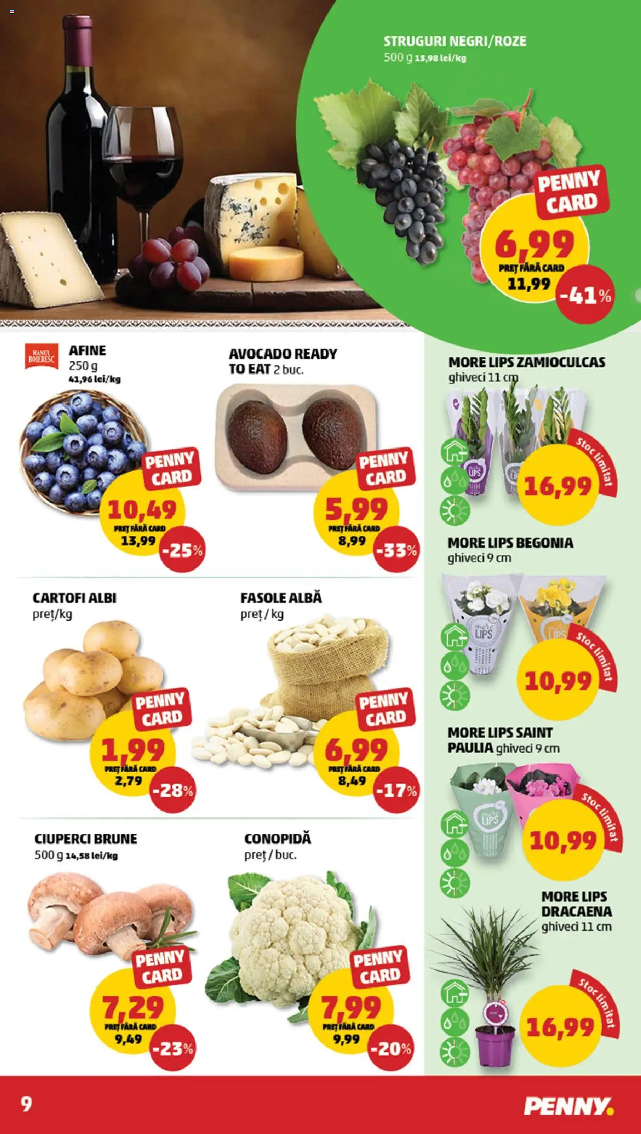 Catalog PENNY - pagina 9- valabil de la 16.07.2025
