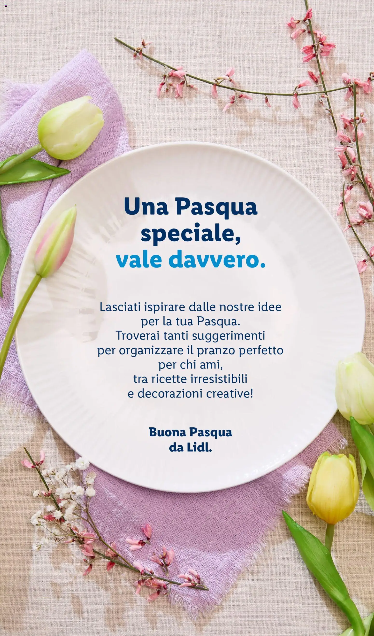 Lidl volantino Vale davvero - pagina 2 - valido dal 27/02/2026