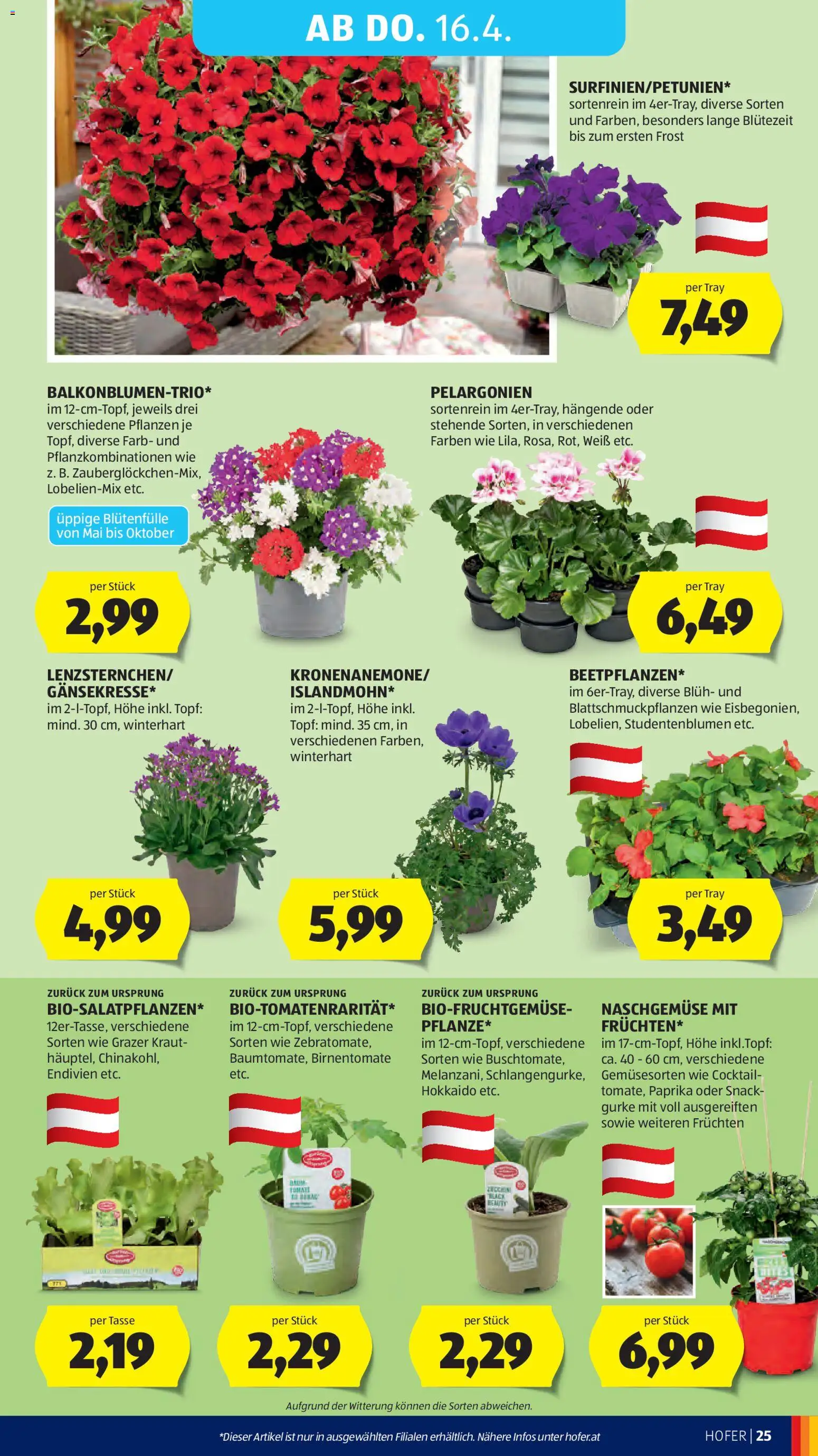 Hofer Flugblatt - page 29- valid from 08.04.2026