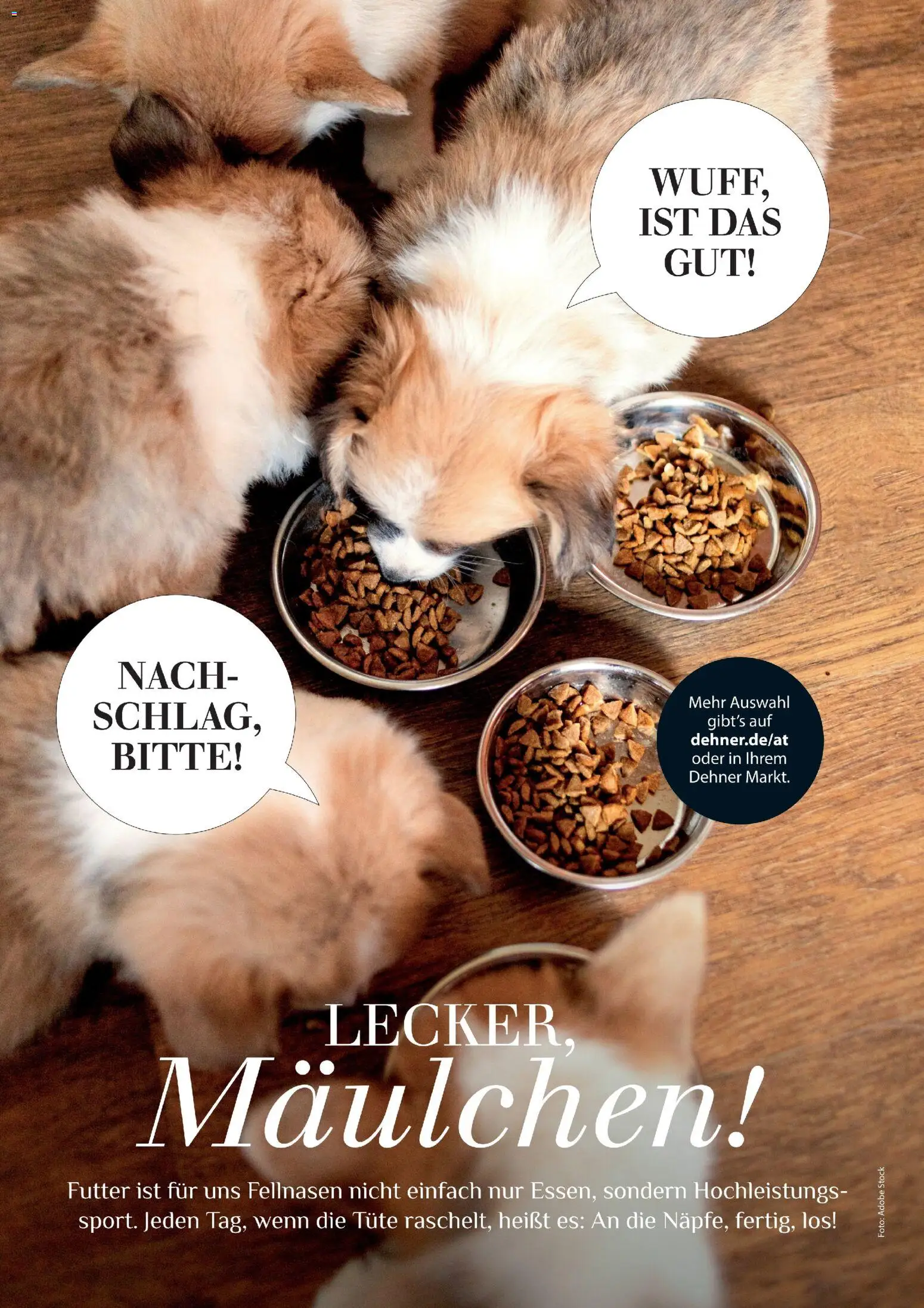 Dehner Prospekt 	 - Seite 88 - gültig ab 17.04.2026