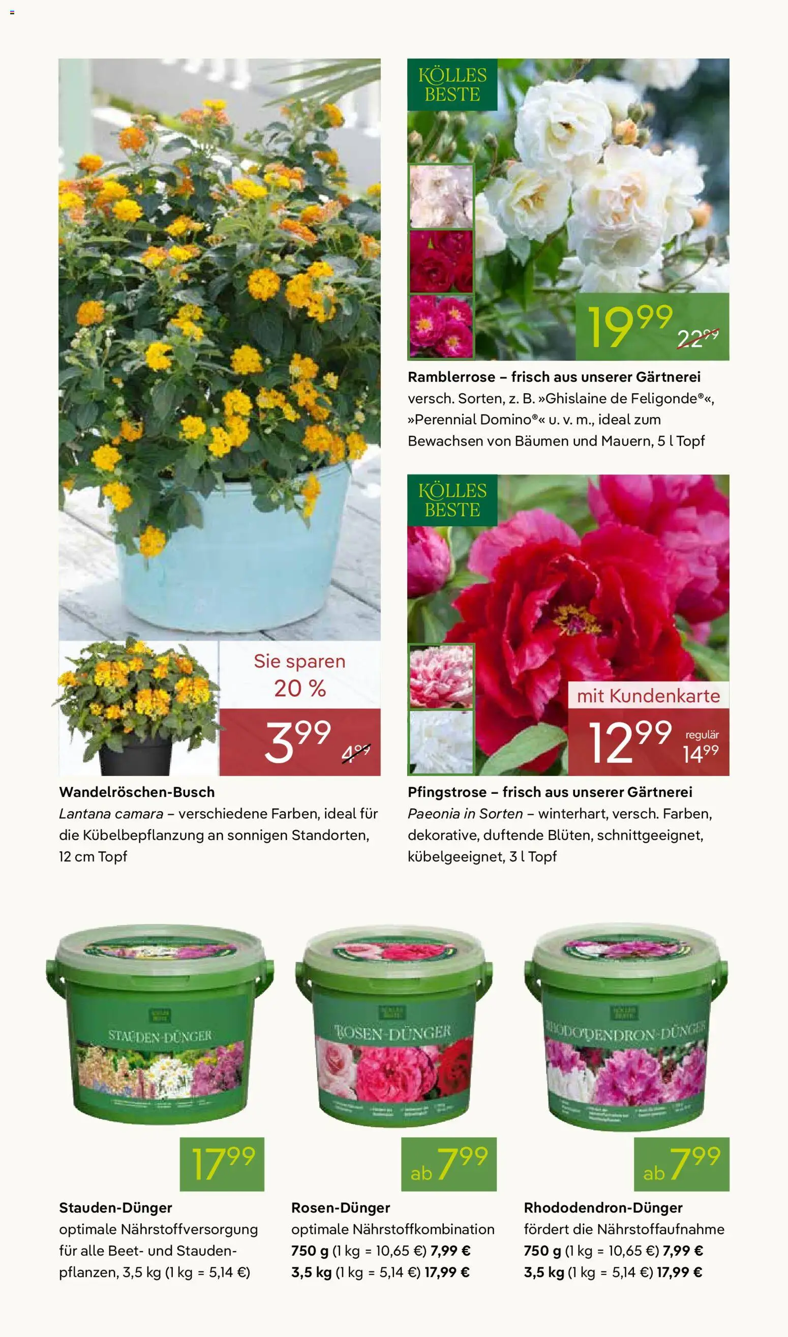 Pflanzen-Kölle Prospekt 	 - Seite 4 - gültig ab 20.04.2026