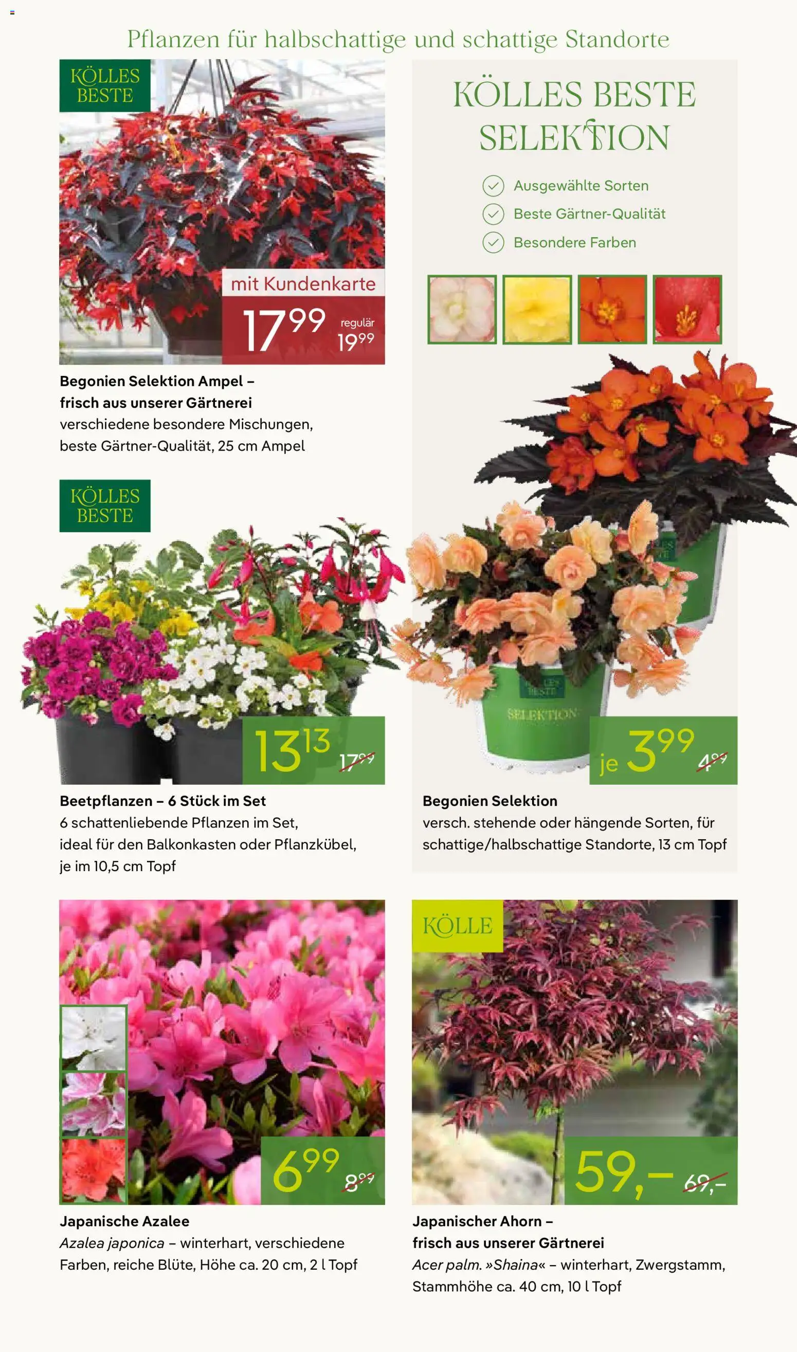 Pflanzen-Kölle Prospekt 	 - Seite 7 - gültig ab 20.04.2026