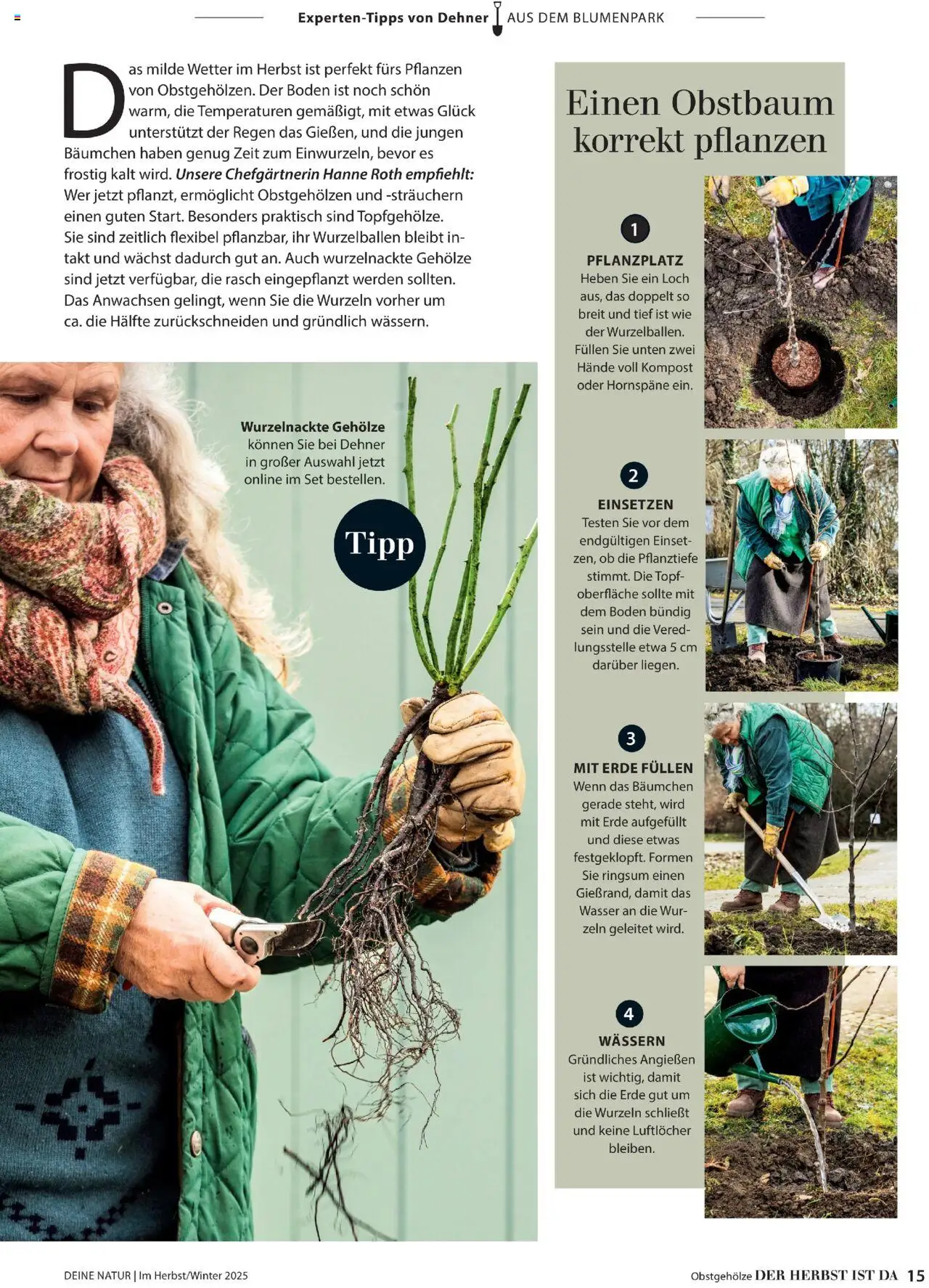 Dehner Prospekt Deine Natur - Seite 15 - gültig ab 09.10.2025