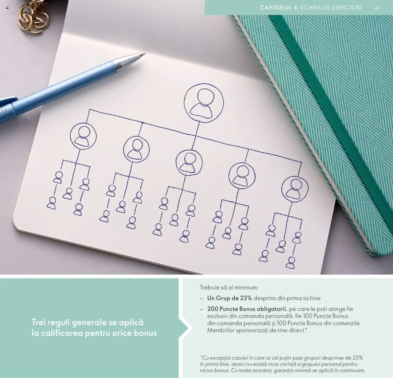 Oriflame catalog - Planul de Succes pentru Partenerul de Brand - pagina 47- valabil de la 09.07.2024