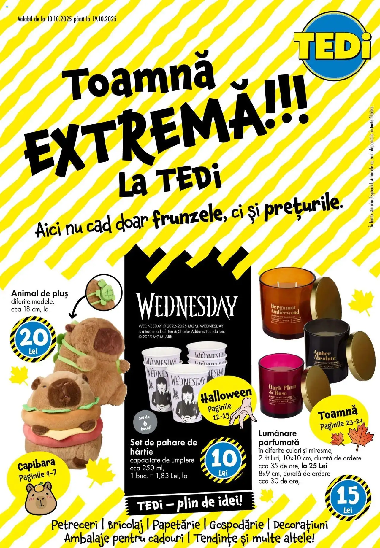 Catalog TEDi - pagina 1- valabil de la 10.10.2025
