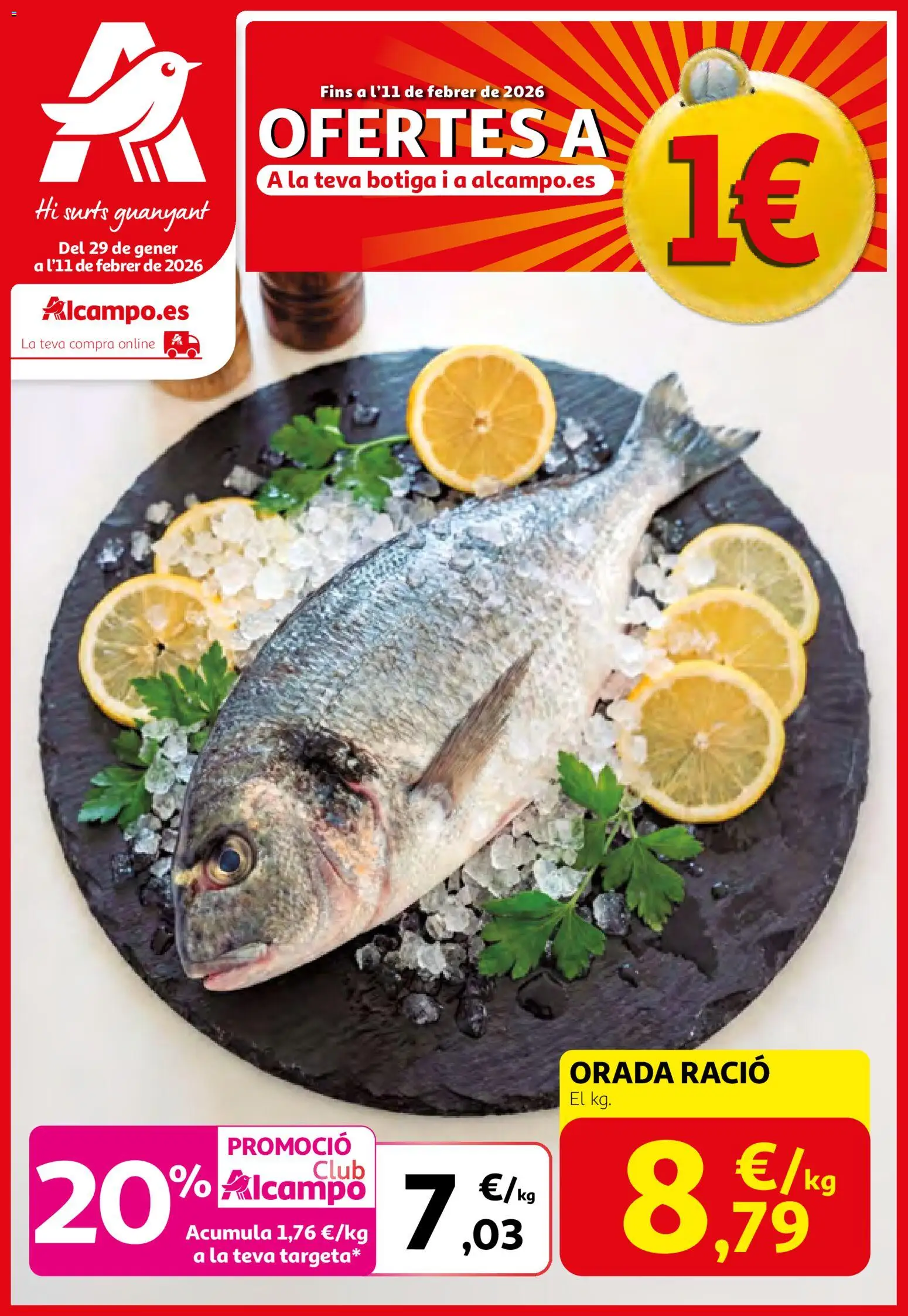 Alcampo - SST catalan  - Página de 1 - Válido desde 29/01/2026