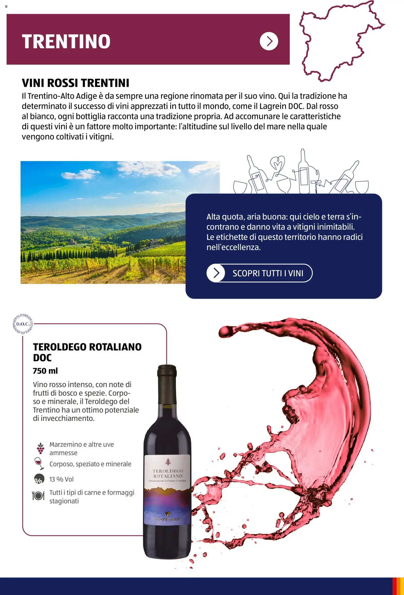 Aldi Vinoteca catalogo - pagina 17 - valido dal 12/01/2026