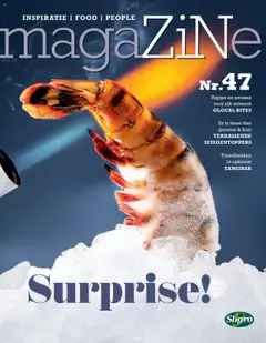 Sligro - magaZiNe 47 Surprise! geldig vanaf 28-07-2025